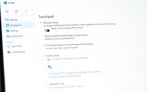 Windows settings for touchpad